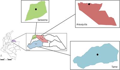 Identification of Aedes (Diptera: Culicidae) Species and Arboviruses Circulating in Arauca, Eastern Colombia